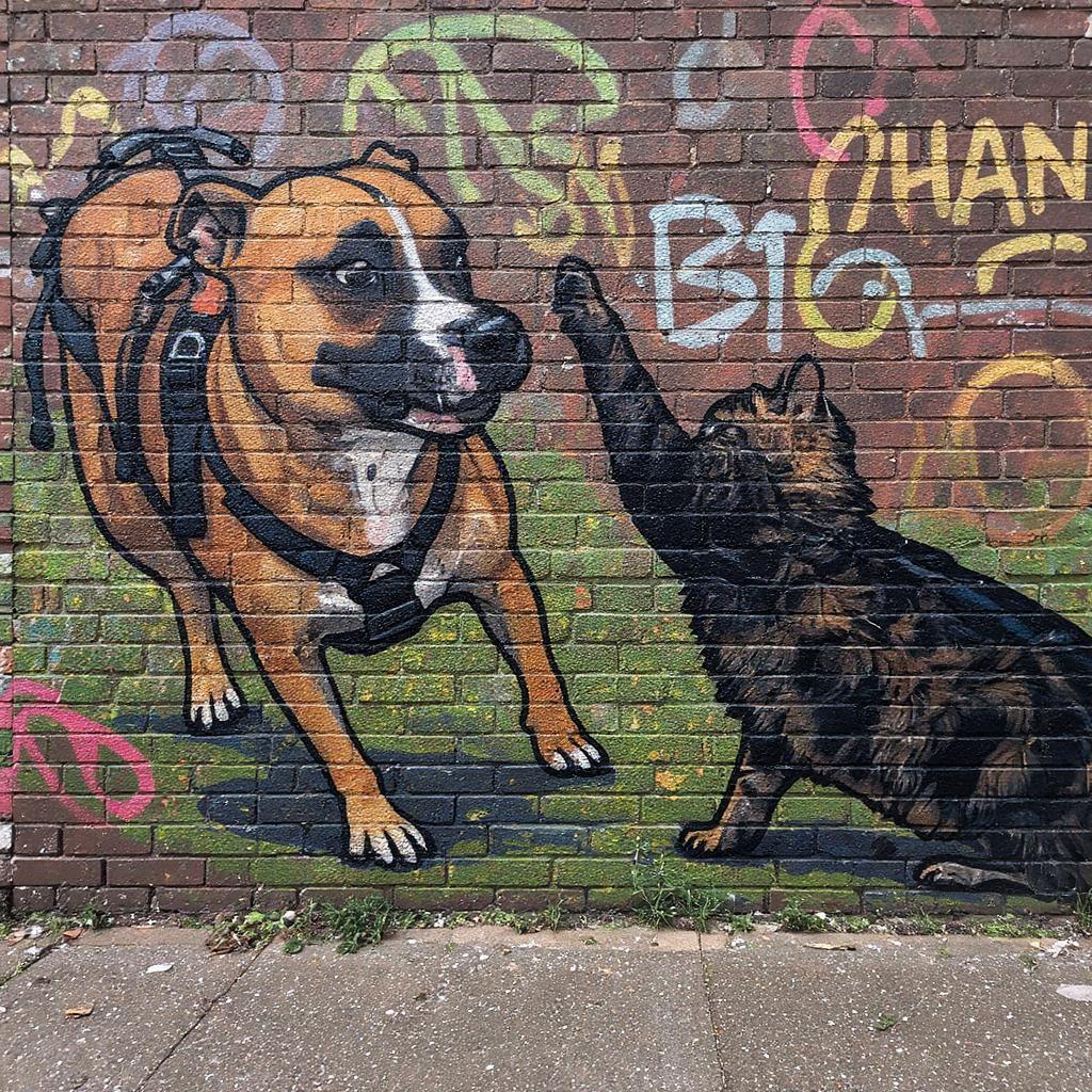 Image gajwy0sv0srme0cr3ysan0zqxg